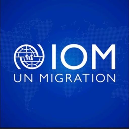 United Nations Migration Mission in the State of Qatar